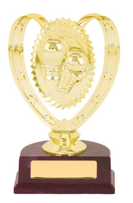 BOXING TROPHY