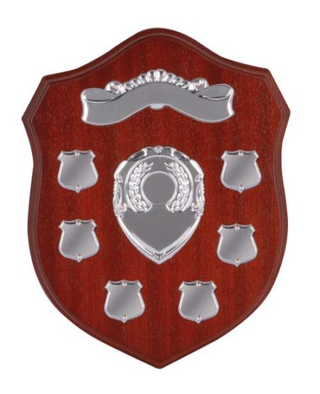 SHIELD AWARD