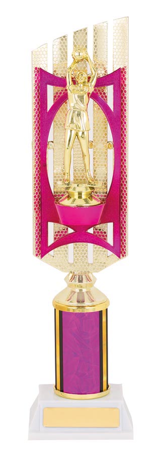 NETBALL SPORT TROPHY - 25mm Insert