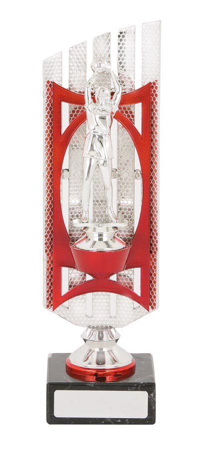 NETBALL SPORT TROPHY - 25mm Insert