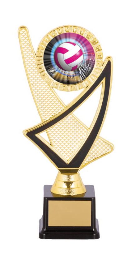 NETBALL SPORT TROPHY - 50mm Insert