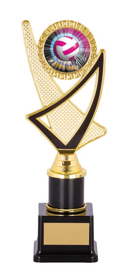 NETBALL SPORT TROPHY - 50mm Insert