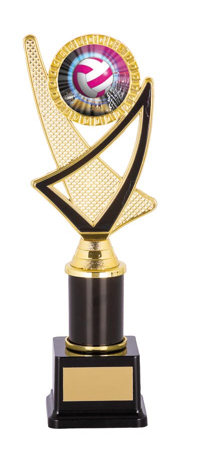 NETBALL SPORT TROPHY - 50mm Insert