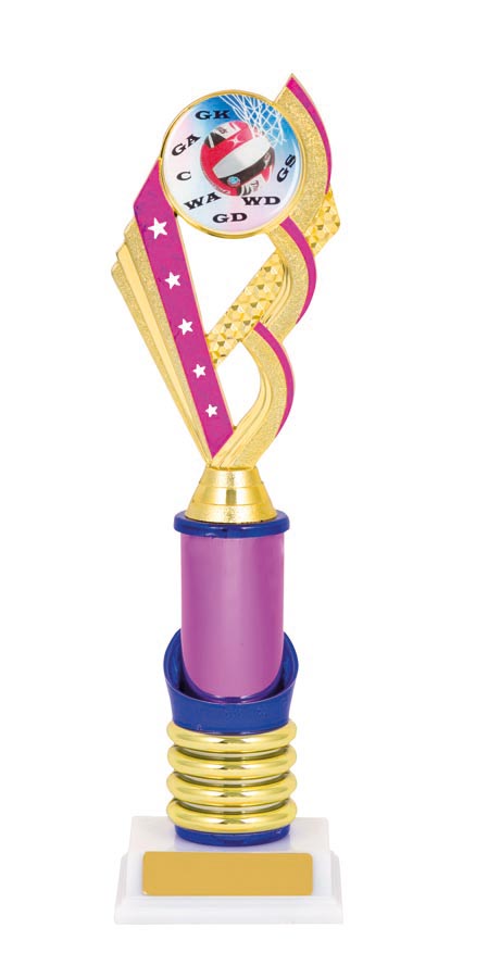 NETBALL SPORT TROPHY - 50mm Insert