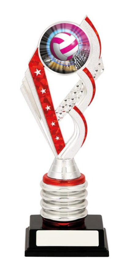 NETBALL SPORT TROPHY - 50mm Insert