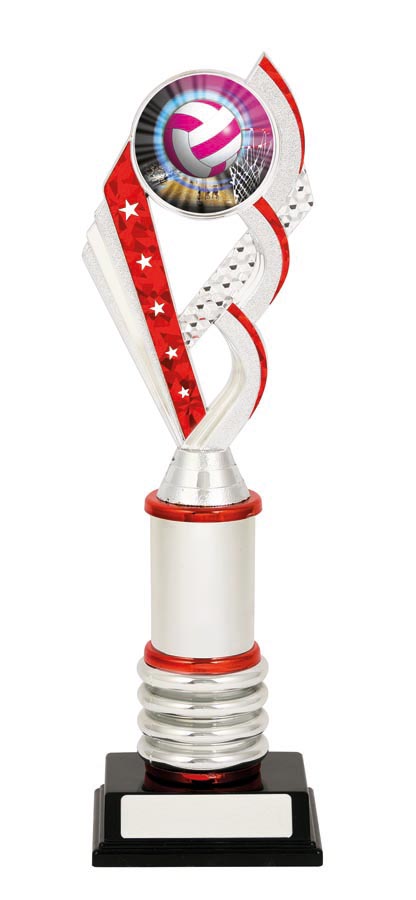 NETBALL SPORT TROPHY - 50mm Insert