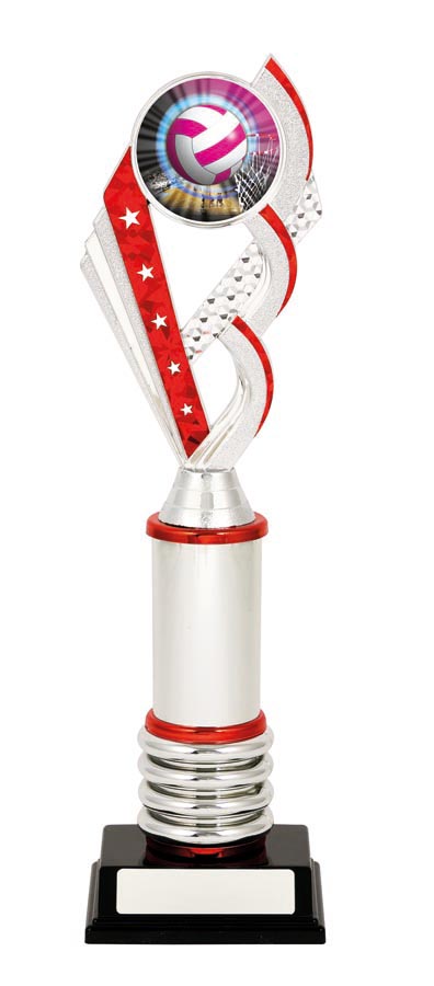 NETBALL SPORT TROPHY - 50mm Insert