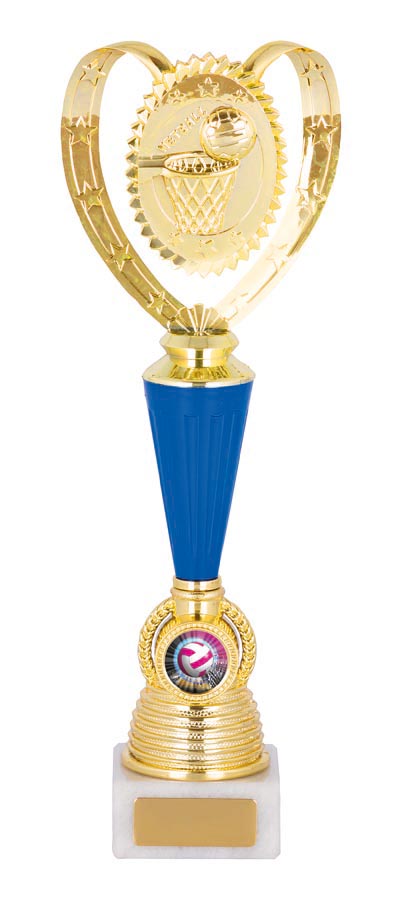 NETBALL SPORT TROPHY - 25mm Insert