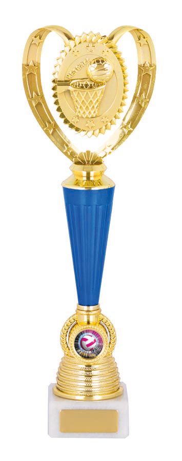 NETBALL SPORT TROPHY - 25mm Insert