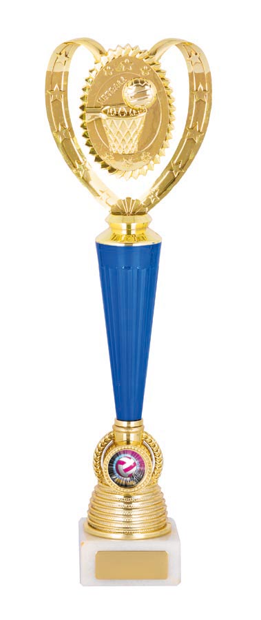 NETBALL SPORT TROPHY - 25mm Insert