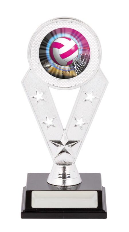 NETBALL SPORT TROPHY - 50mm Insert