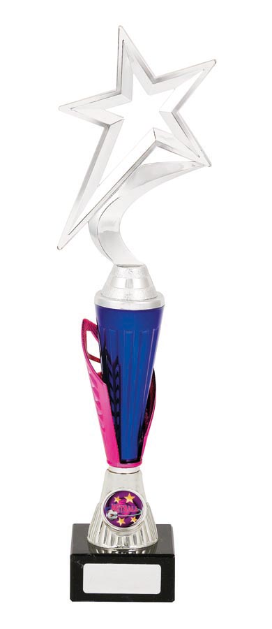 NETBALL SPORT TROPHY - 25mm Insert