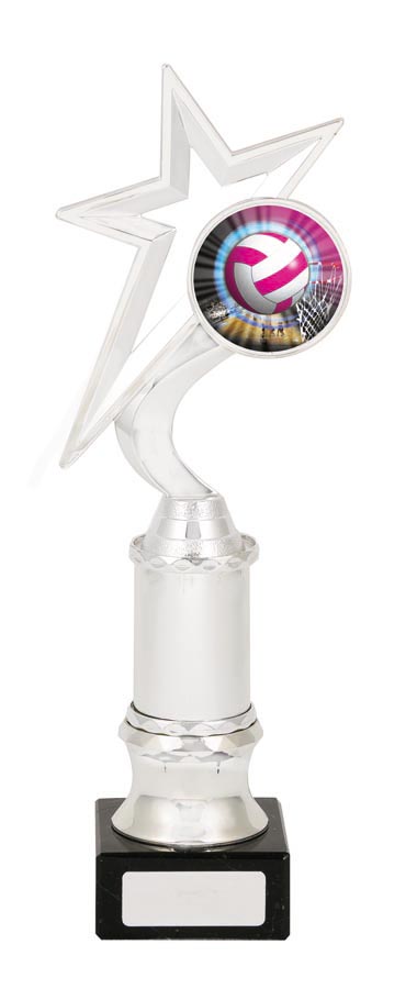 NETBALL SPORT TROPHY - 50mm Insert