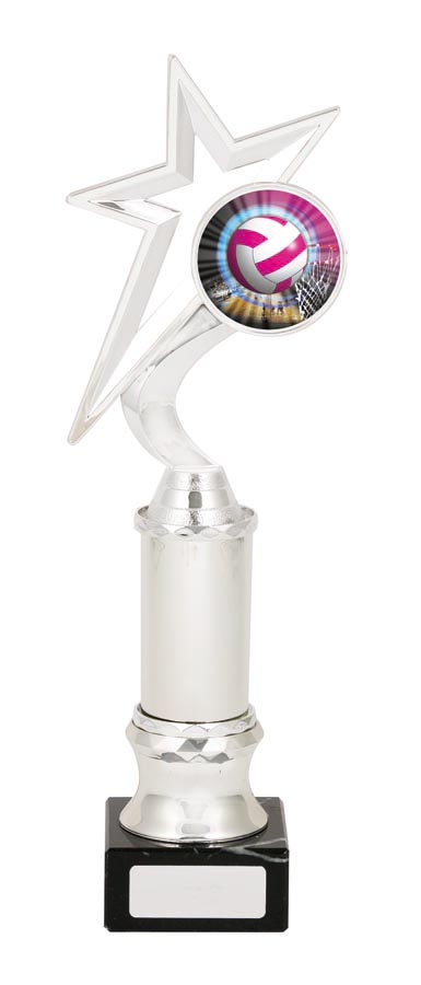 NETBALL SPORT TROPHY - 50mm Insert