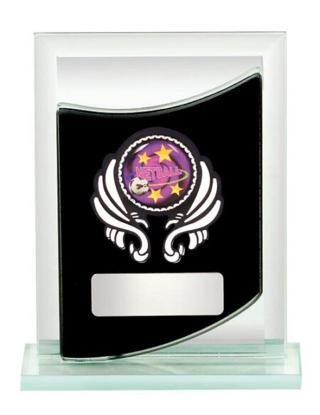 NETBALL GLASS AWARD - 25mm Insert