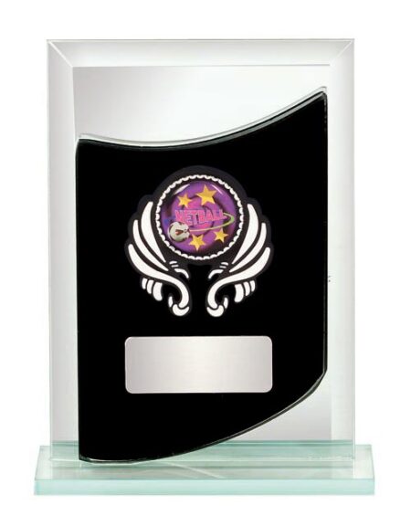 NETBALL GLASS AWARD - 25mm Insert