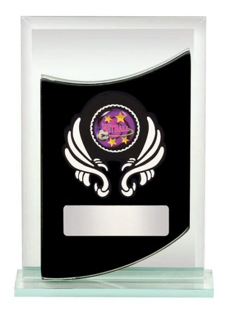 NETBALL GLASS AWARD - 25mm Insert