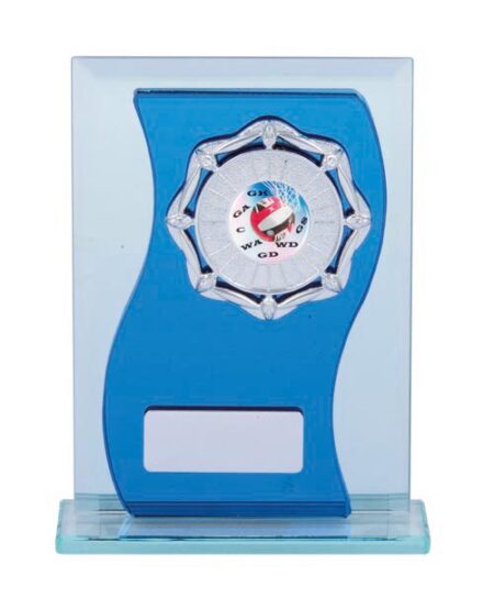 NETBALL GLASS AWARD - 25mm Insert