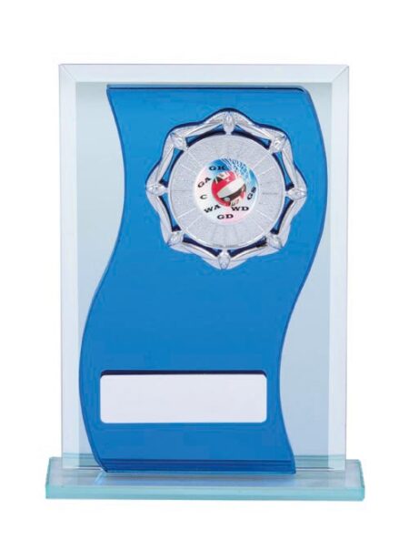 NETBALL GLASS AWARD - 25mm Insert