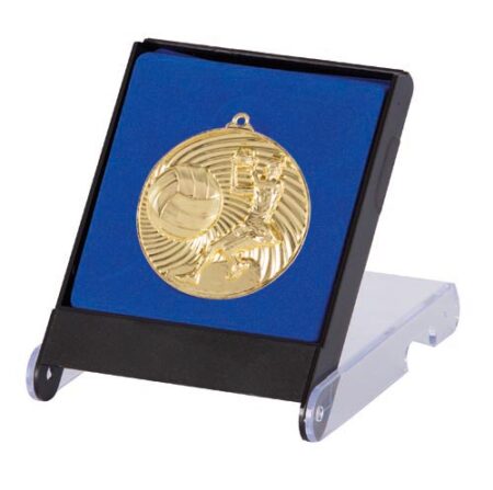 NETBALL MEDAL AWARD