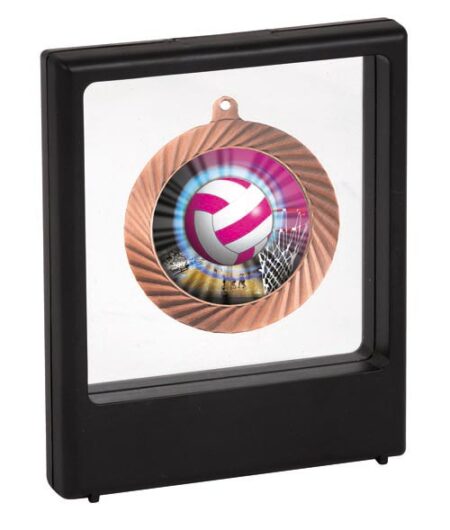 NETBALL MEDAL AWARD - 50mm Insert