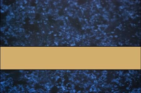 FLEXIBRASS - CELESTIAL BLUE/BRASS