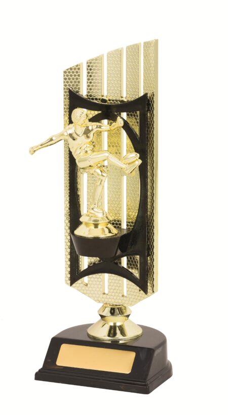 GENERAL AWARDS - 270mm