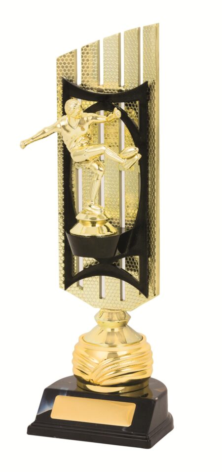 GENERAL AWARDS - 300mm