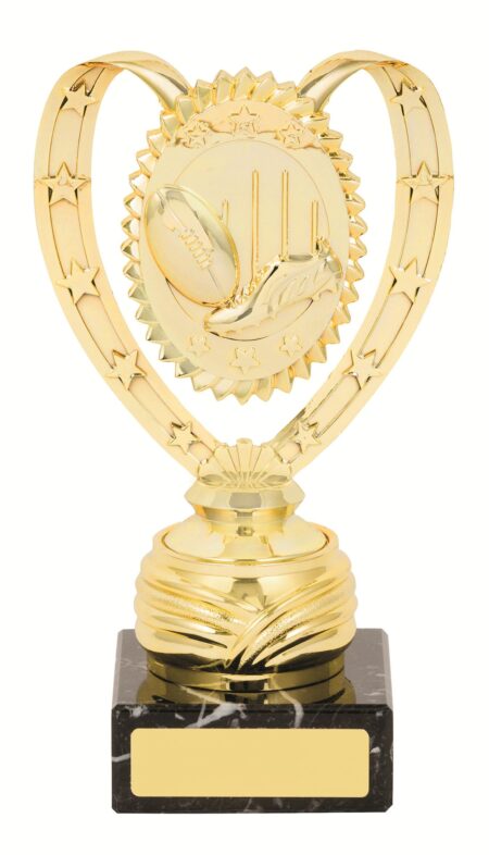 GENERAL AWARDS - 200mm