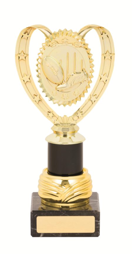 GENERAL AWARDS - 235mm