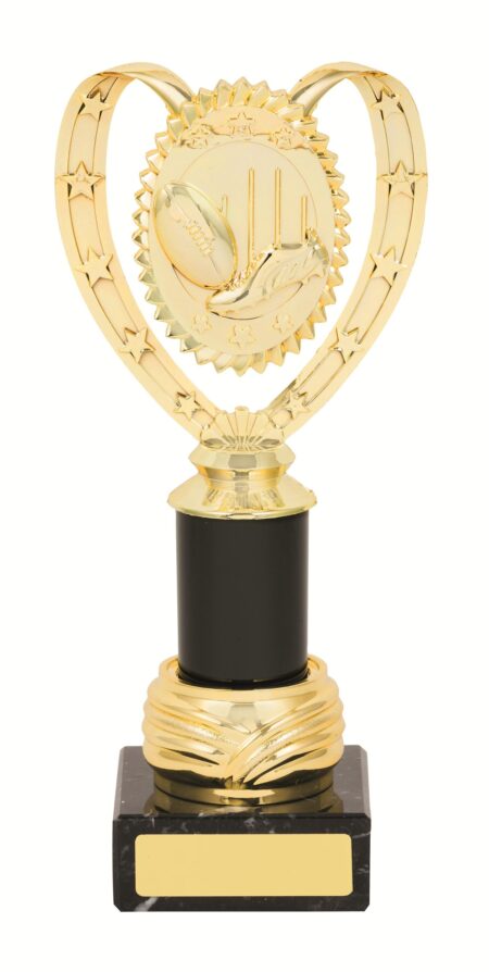 GENERAL AWARDS - 250mm