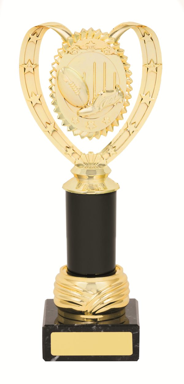 GENERAL AWARDS - 265mm