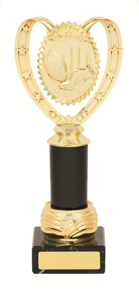 GENERAL AWARDS - 265mm