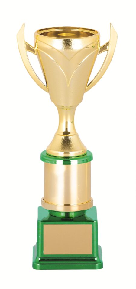 GENERAL AWARDS - 200mm
