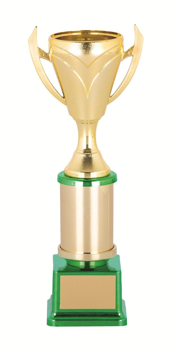 GENERAL AWARDS - 215mm
