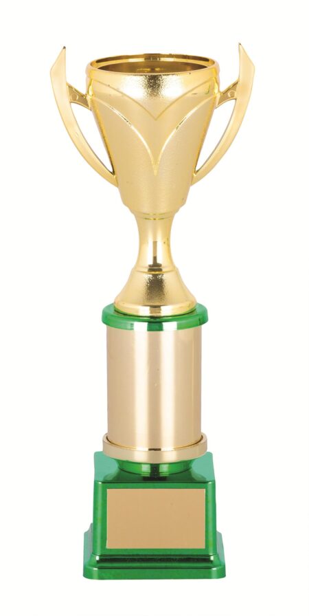 GENERAL AWARDS - 215mm