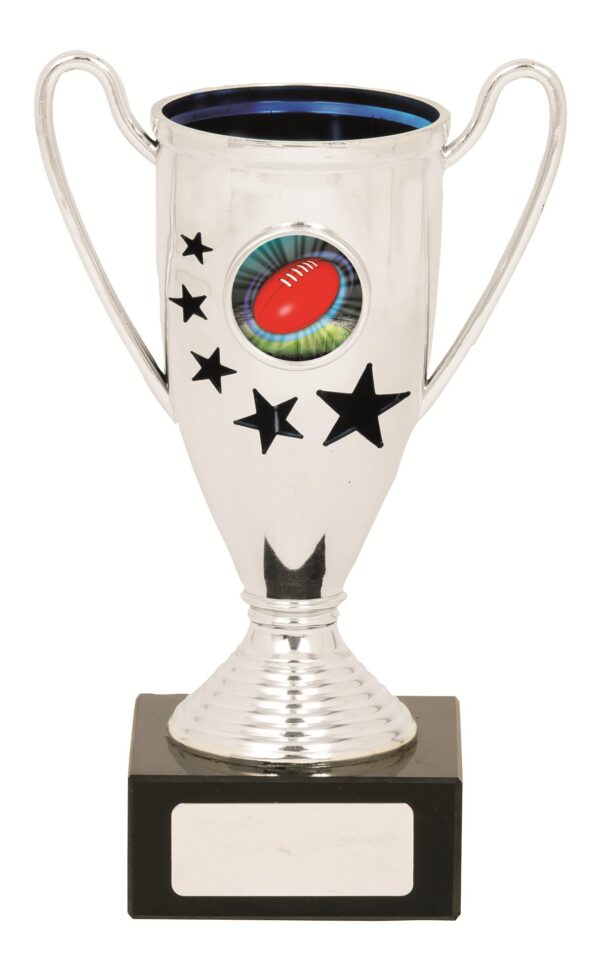 GENERAL AWARDS - 170mm