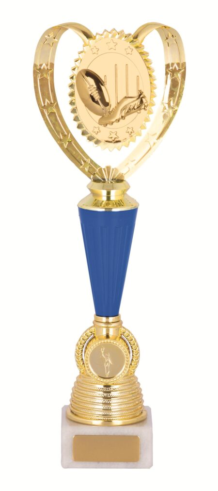 GENERAL AWARDS - 320mm