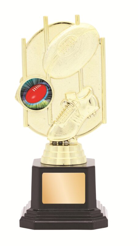 GENERAL AWARDS - 170mm