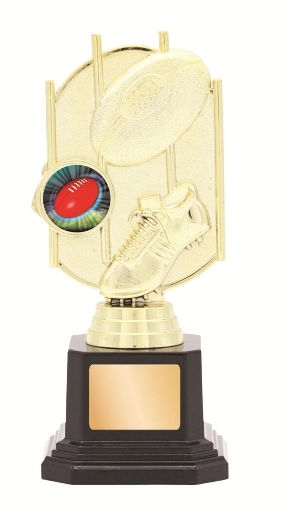 GENERAL AWARDS - 170mm