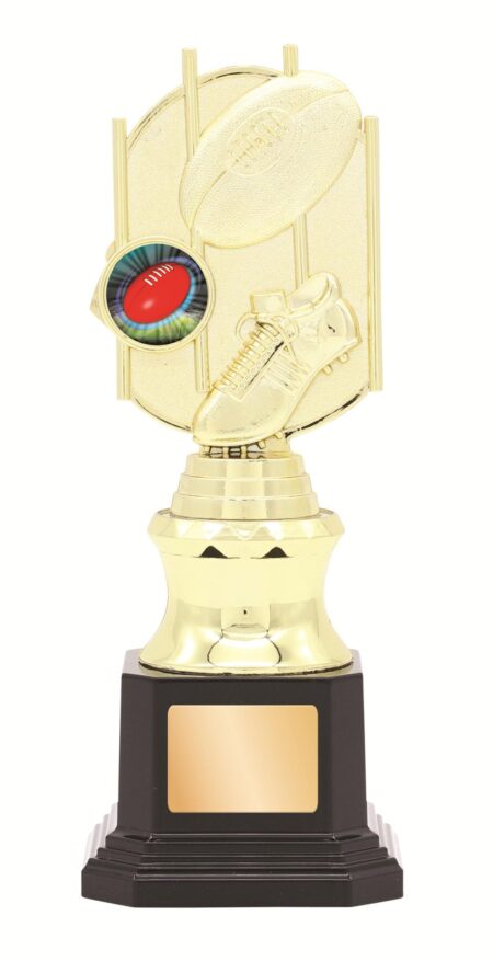 GENERAL AWARDS - 210mm