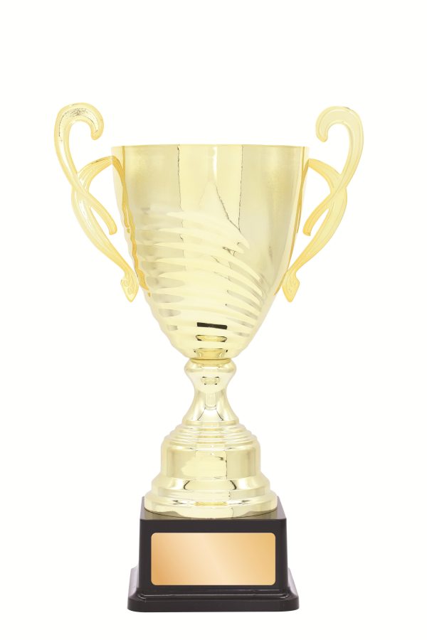 METAL CUP TROPHY -  485mm