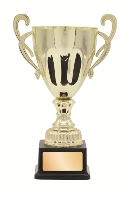 METAL CUP TROPHY -  260mm
