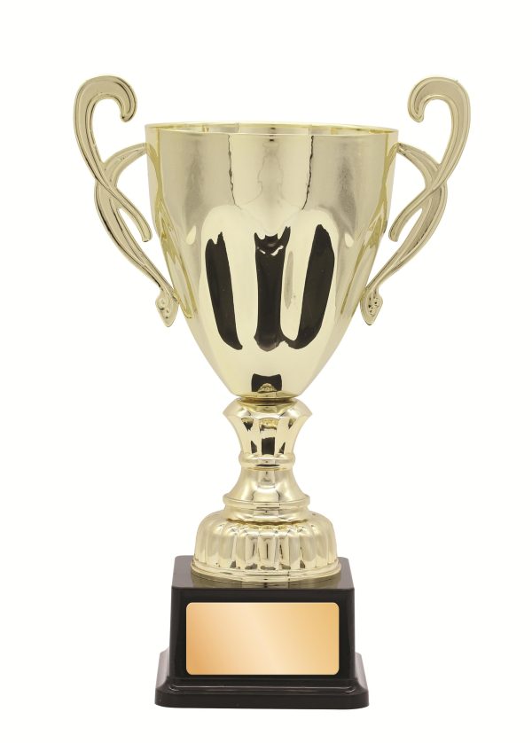 METAL CUP TROPHY -  300mm