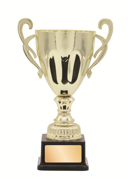 METAL CUP TROPHY -  300mm