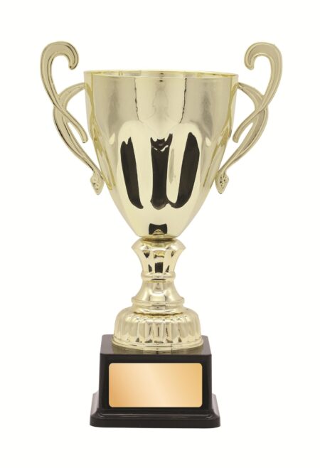 METAL CUP TROPHY -  345mm