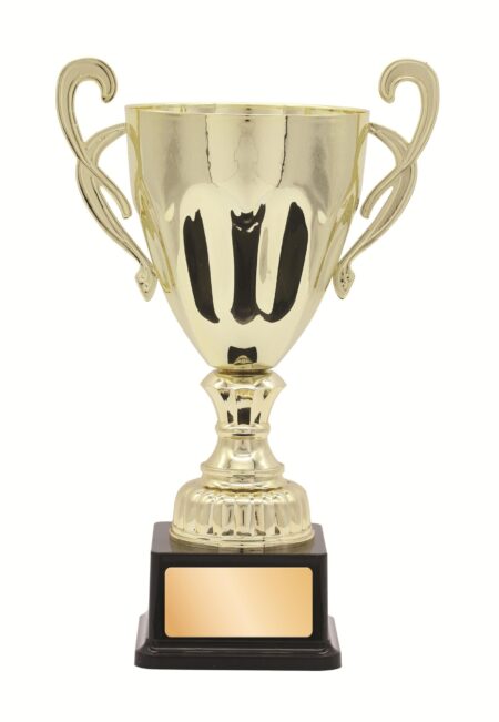 METAL CUP TROPHY -  425mm