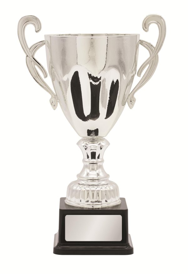 METAL CUP TROPHY -  260mm