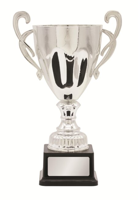 METAL CUP TROPHY -  260mm