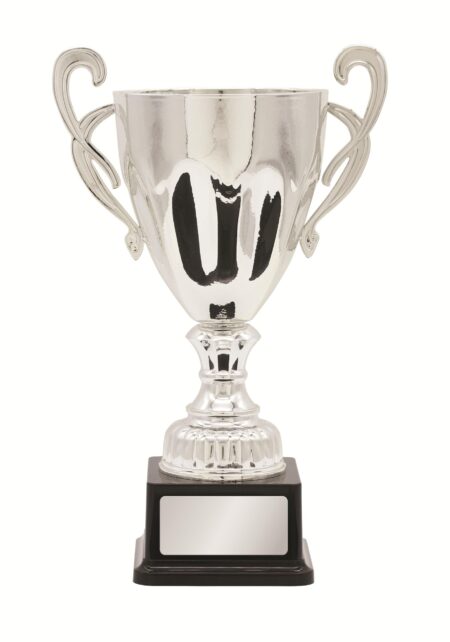 METAL CUP TROPHY -  300mm